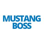Mustang Boss