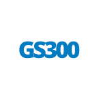 GS300