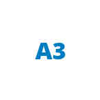A3