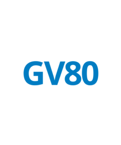 GV80